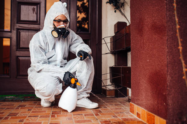 Reliable Wasp Removal contractor in Hamilton Square, NJ by Show Me Pest Control